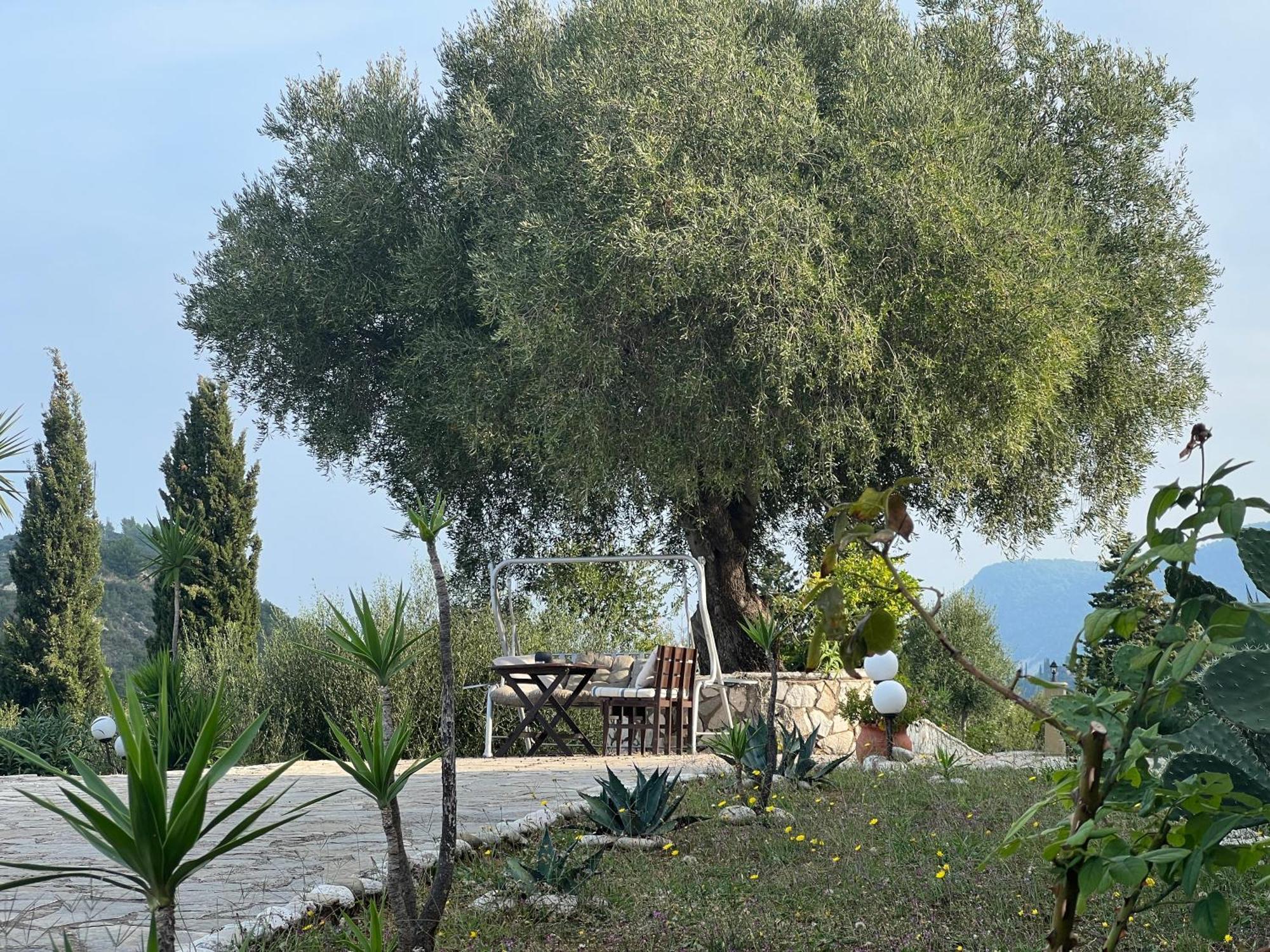 La Casa D' Irene (Adults Only) Hotel Ayios Nikitas Ngoại thất bức ảnh